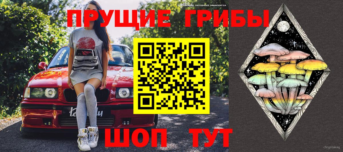 Мирный  Псилоцибиновые грибы мухоморы  Вход с VPN  Псилоцибиновые грибы GOLDEN TEACHER 