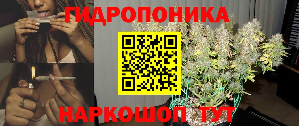 Канабис индика  Шишки марихуана SATIVA & INDICA  Вход с VPN  Шишки марихуана семена  Мирный 
